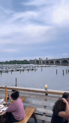 👨‍🍳 Gourmet Maryland Blue Crab eggs | The Taste of the Ocean 🌊-TTQL
