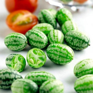 😍 The Cutest Thing You’ll Grow This Year: Thumb-Sized Watermelons – Kids Love Them!-TTQL