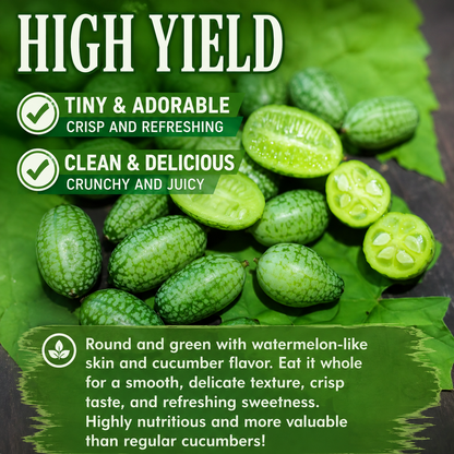 😍 The Cutest Thing You’ll Grow This Year: Thumb-Sized Watermelons – Kids Love Them!-TTQL