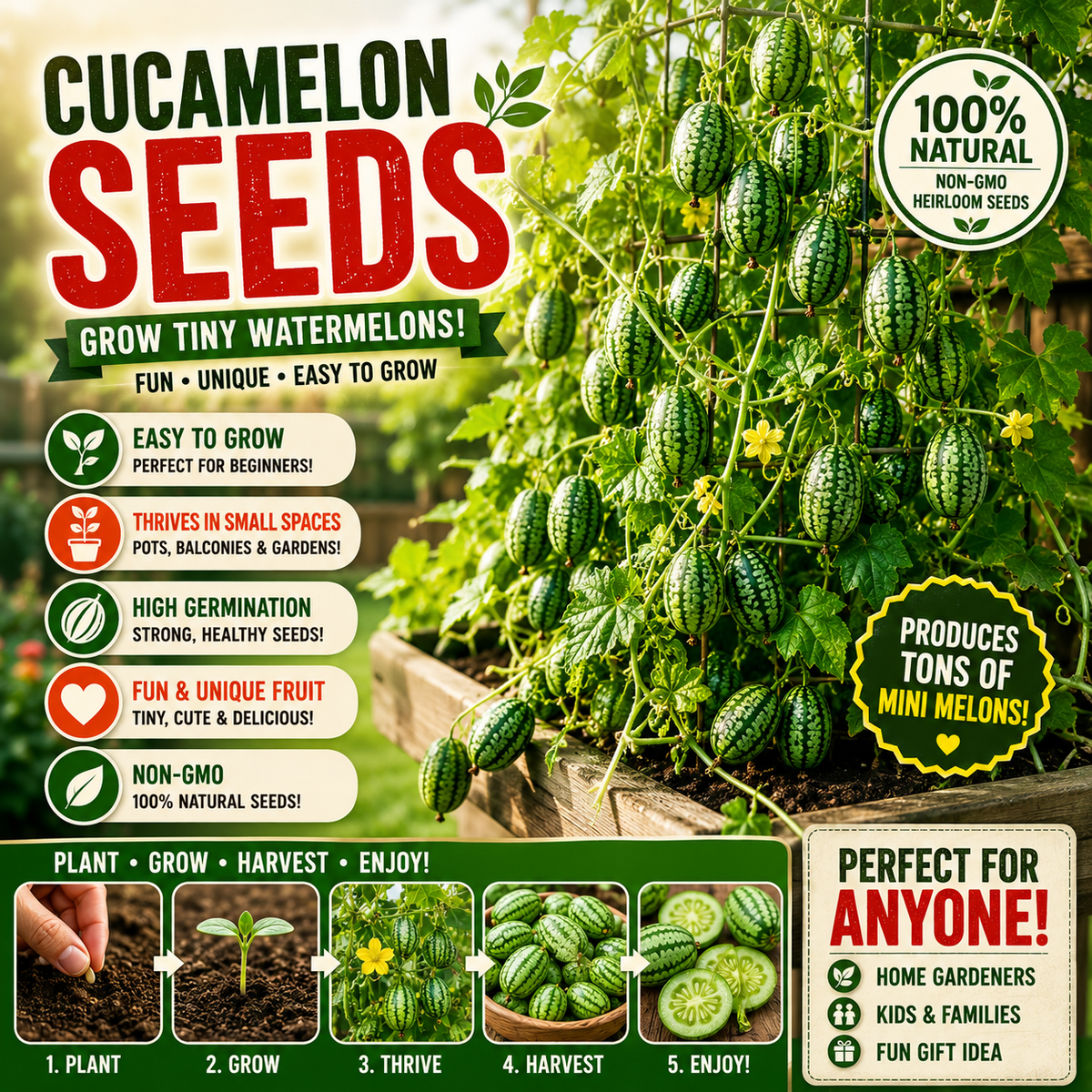 😍 The Cutest Thing You’ll Grow This Year: Thumb-Sized Watermelons – Kids Love Them!-TTQL
