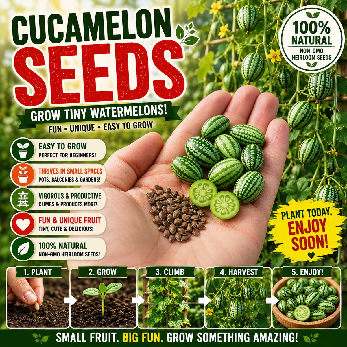 😍 The Cutest Thing You’ll Grow This Year: Thumb-Sized Watermelons – Kids Love Them!-TTQL