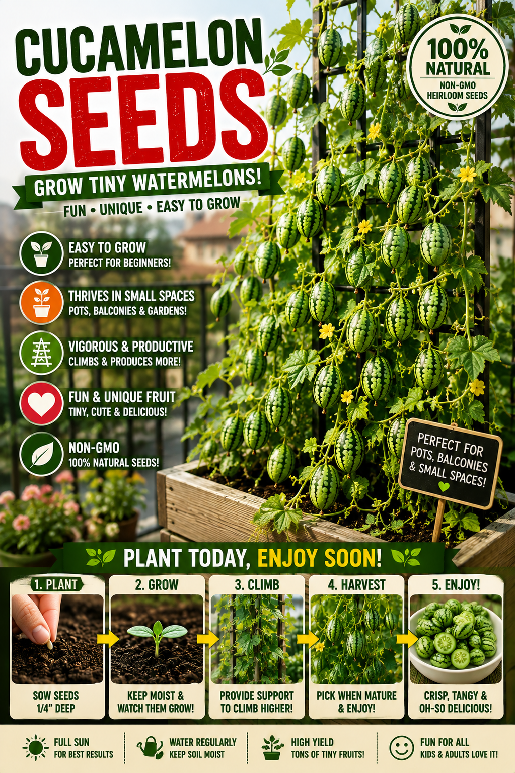 😍 The Cutest Thing You’ll Grow This Year: Thumb-Sized Watermelons – Kids Love Them!-TTQL